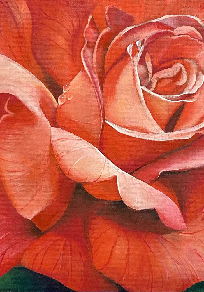 Rose painting canvas print by Beth Swilling