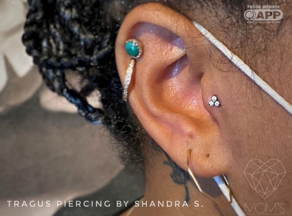 tragus-piercing-shandra.jpg