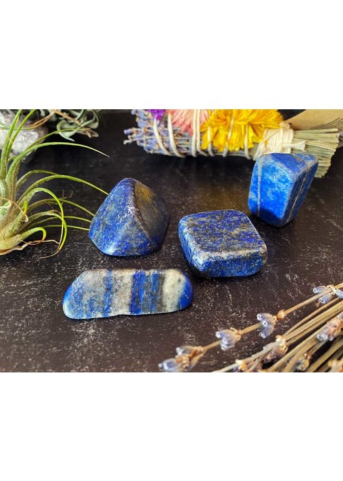 Scott's Rocks Tumbled Lapis - Afghanistan