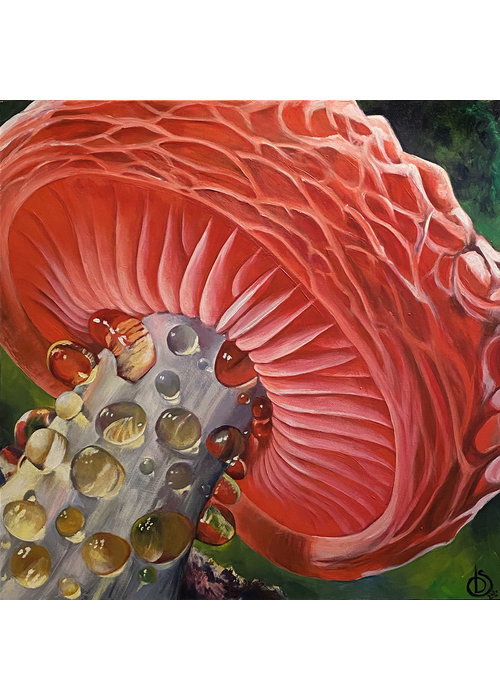 Magical Mushroom 16x16 archival print - Beth Swilling