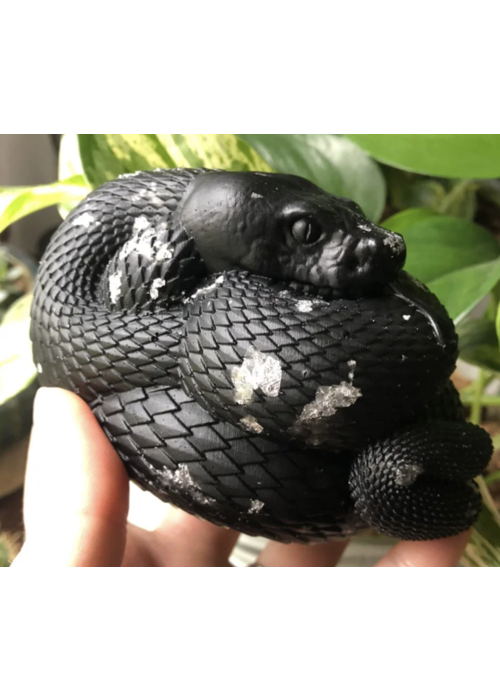 Black Snake Botanicals Crystal Snake Soap - Charcoal
