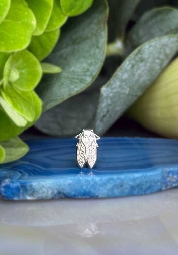 Body Gems Cicada 14k White Gold Threadless