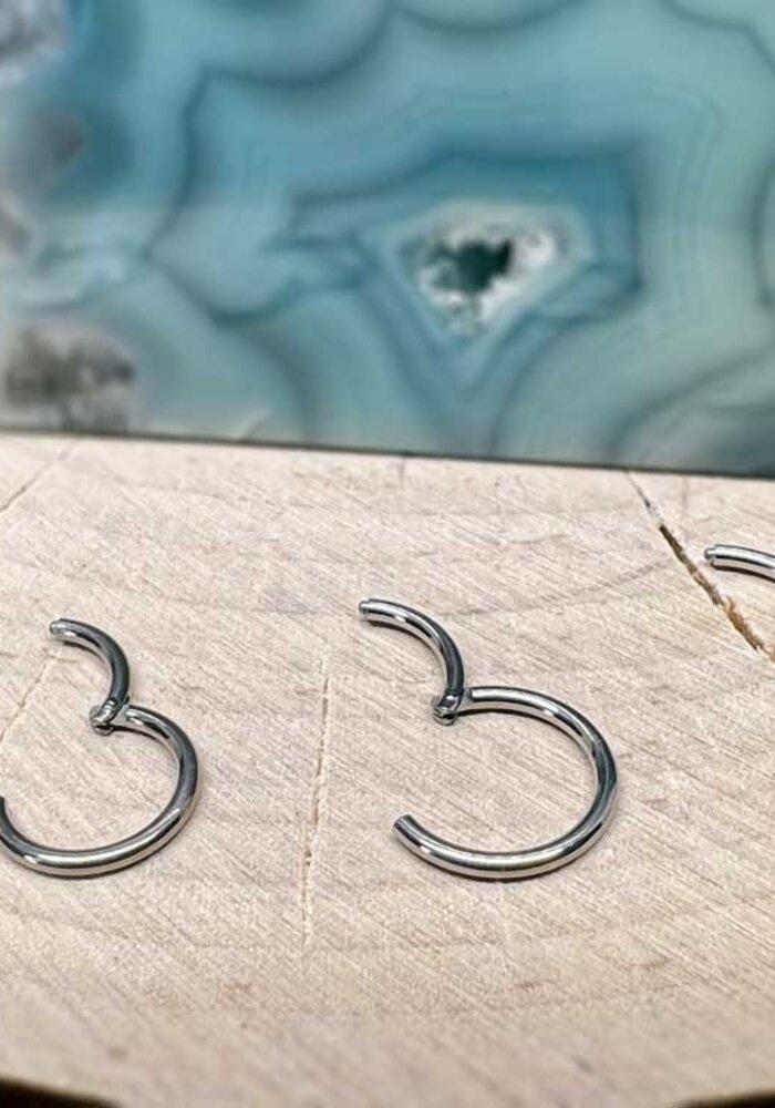 Zadamer Jewelry Titanium 18g Single Hinged Ring