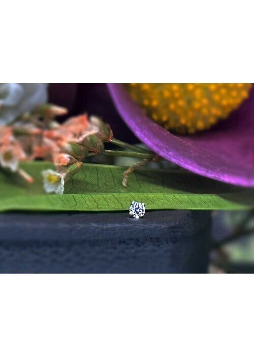 alchemy adornments Alchemy Adornment Prong Genuine Diamond 14k White Gold Threadless