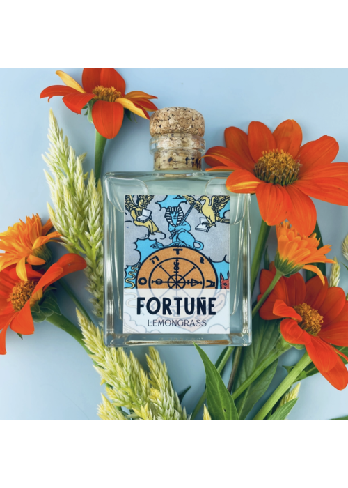 Sow the Magic Fortune Tarot Card Home Reed Diffuser