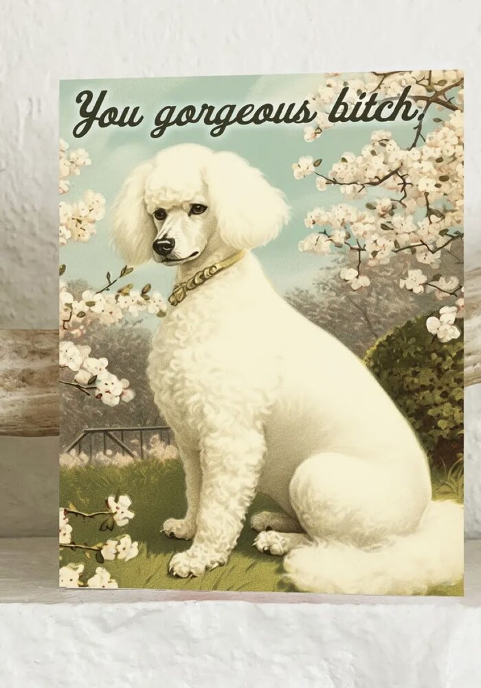 You Gorgeous Bitch Funny Dog Card