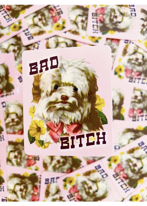 The Coin Laundry Bad Bitch Sticker