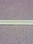 Traxxas TRA2532 Tie Bar Fiberglass SRT