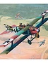 RVL 03965 1/48 Roland C.II