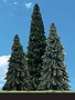 Woodland Scenics WOOTR3568 Classics Tree, Forever Green 4-6" (4)