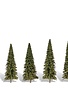 Woodland Scenics WOOTR3565 Classics Tree, Forever Green 2.5-4" (5)