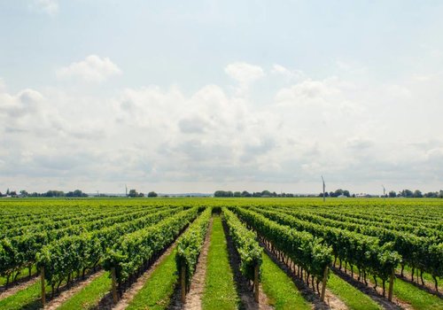 France France