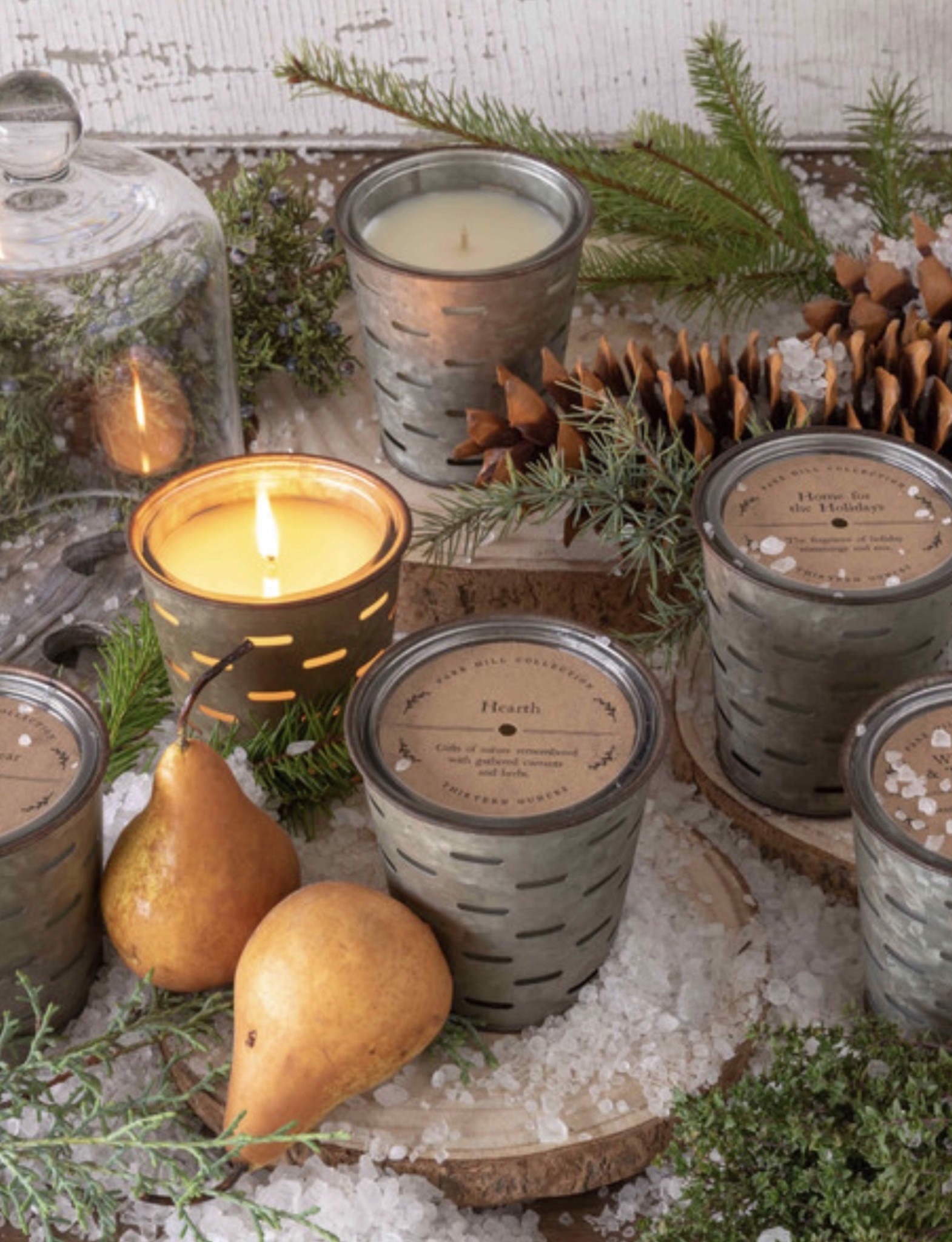 Le Fir Olive Bucket Fragrance Candle Le Fir Olive Bucket Fragrance Candle