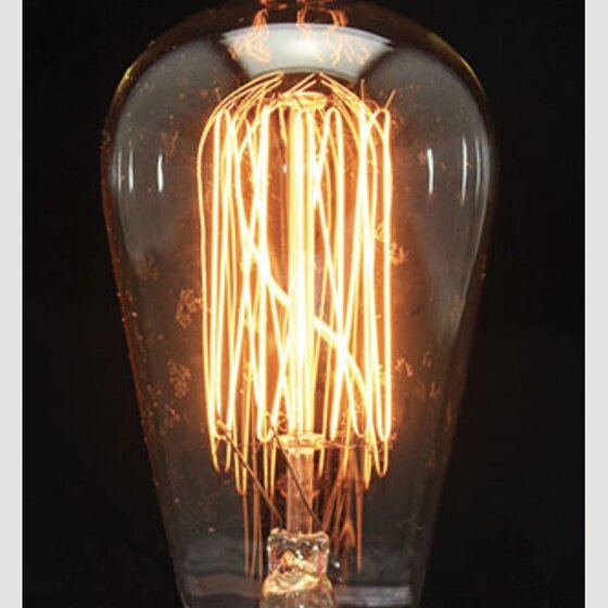 Primitive Edison Bulb 40W