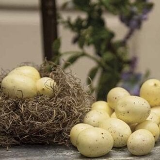 Cream Speckled Eggs In Bag 24/Set