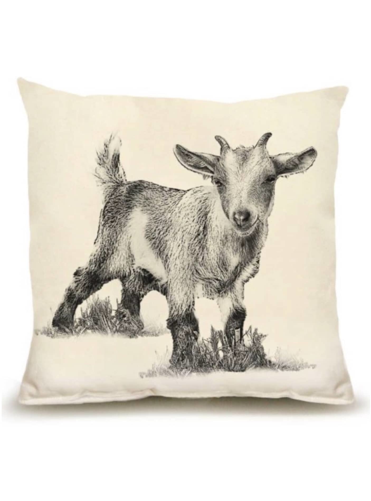Baby Goat Flour Sack Medium Pillow - 1 4" Brand: 