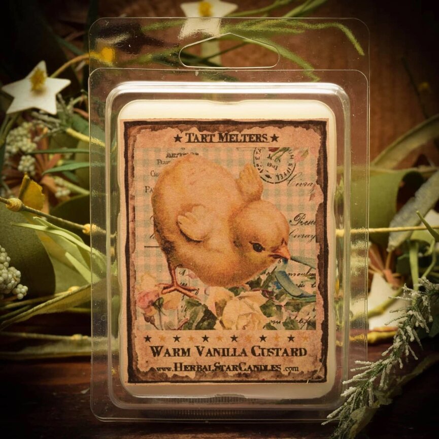 Warm Vanilla Custard Mini Pack of 6 Tarts
