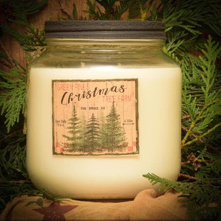 Pine Star Forest Soy Jar Candle