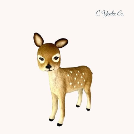 Whitetail Deer Fawn