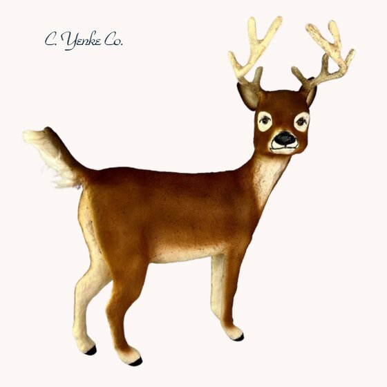 Whitetail Deer Buck
