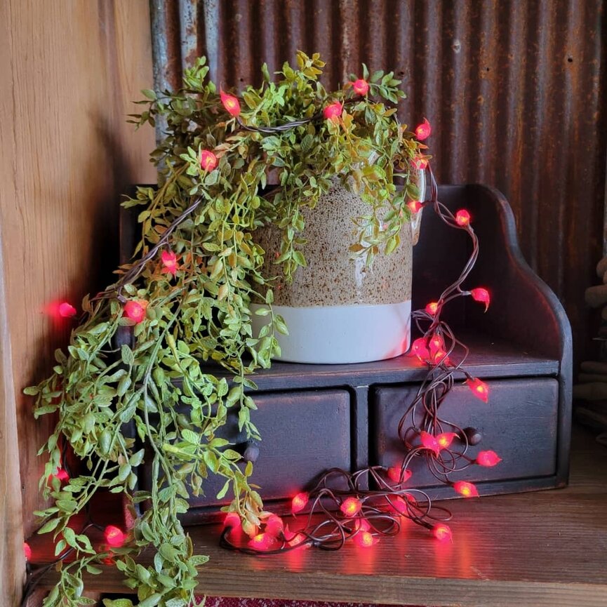 Bittersweet Teeny Lights 50 Count Electric - 11'