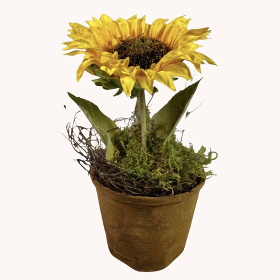 Yellow Sunflower Pot