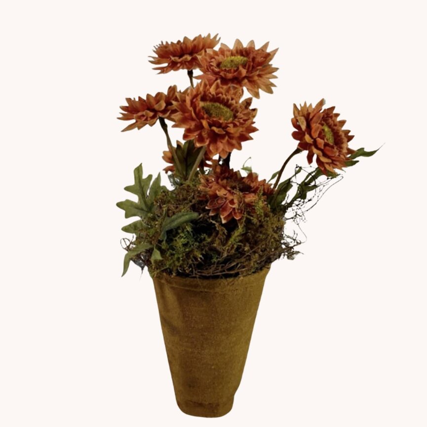 Rust Straw Flowers in Pot - 10"