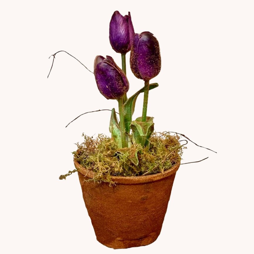 Purple Tulip Pot