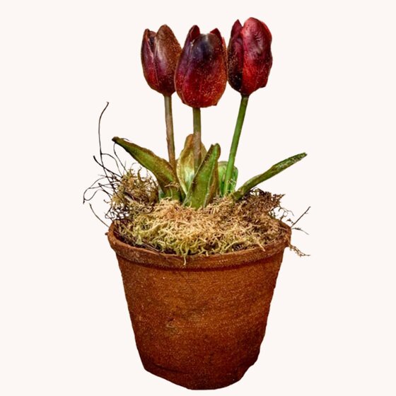 Plum Tulip Pot