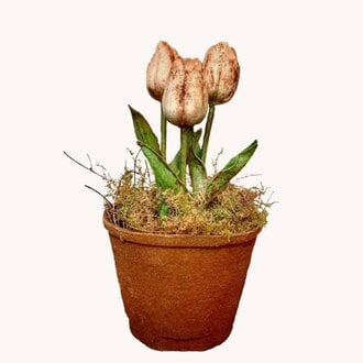 Primitive White Tulip Pot