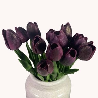 Plum Tulip Single Stem - 14"