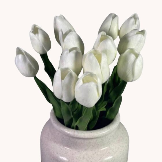 White Tulip Single Stem - 14"