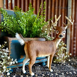 Whitetail Deer Buck - 12" T x 10" W