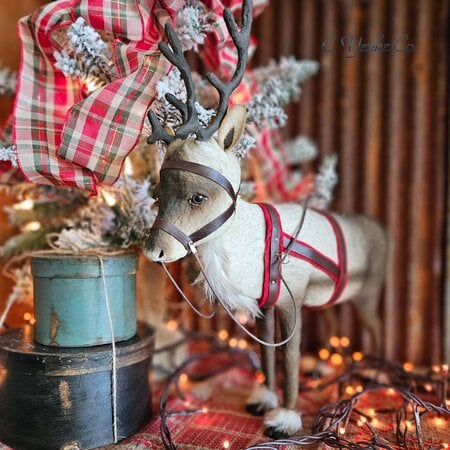 C. Yenke Reindeer with Leather Harness Looking Forward Large