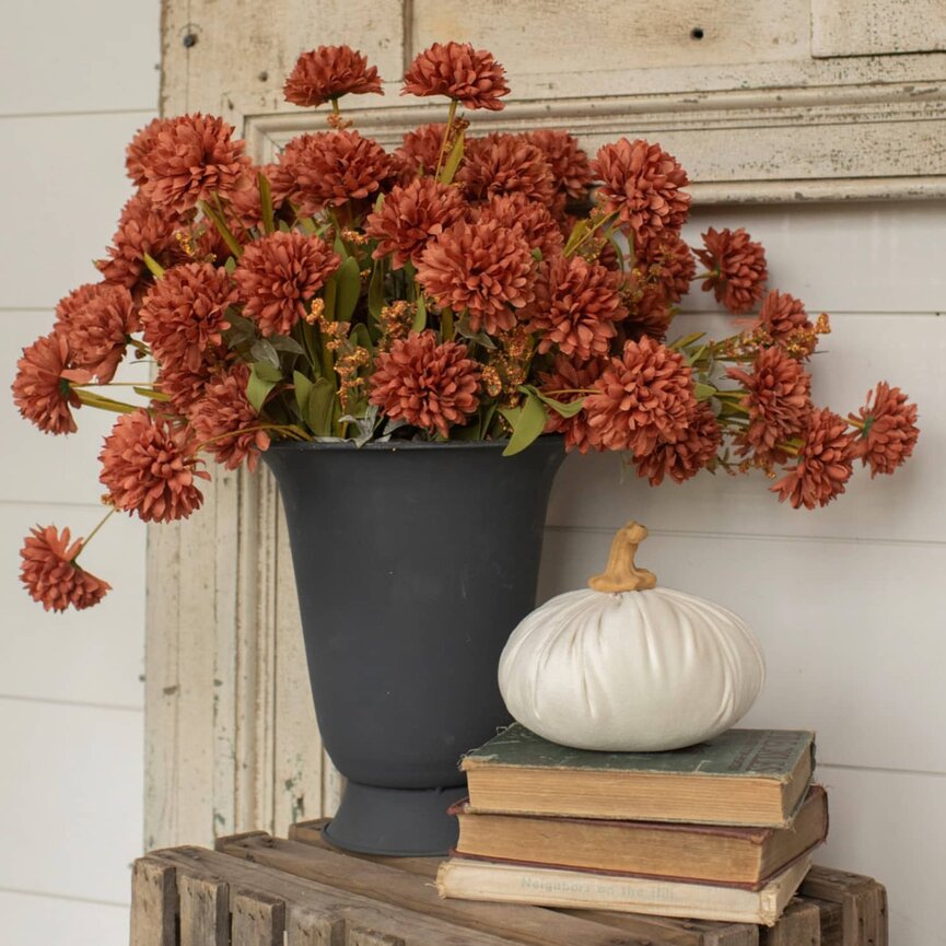 Brown Mixed Foliage Mum Bush - 20"