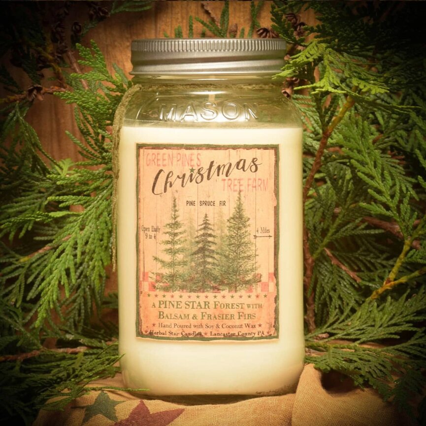 Pine Star Forest Soy Jar Candle - 24oz