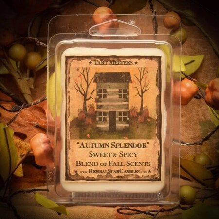 Autumn Splendor Mini Pack of Tarts