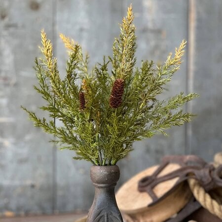 Prickly Pine Pick Moss - 14"
