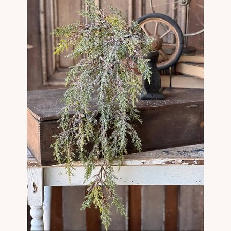 Prickly Pine Hanging with Snow