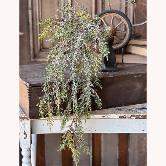 Prickly Pine Hanging with Snow