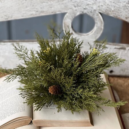 12 Long Needle Pine Half Sphere With Cones! Perfect For Christmas