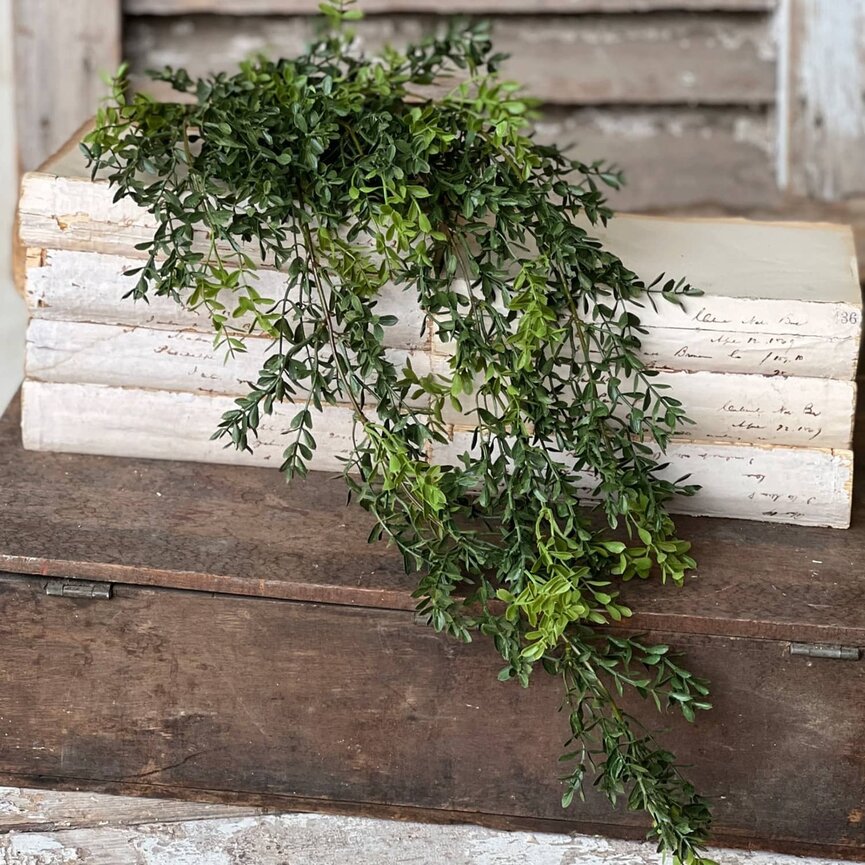 New England Boxwood Hanging - 32.5"