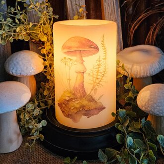 Brown Mushroom & Moss Candle Sleeve Antique Vanilla