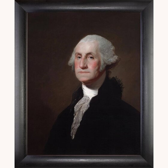 George Washington Framed Print - 16" x 20"