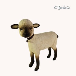 C. Yenke Lamb Standing