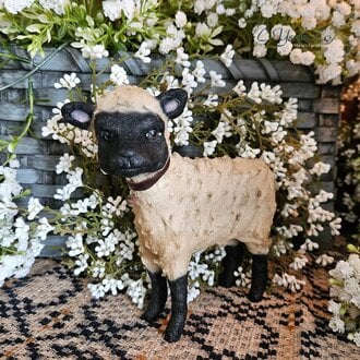 Small Sheep White with Black & Tan Face  - 5.5"