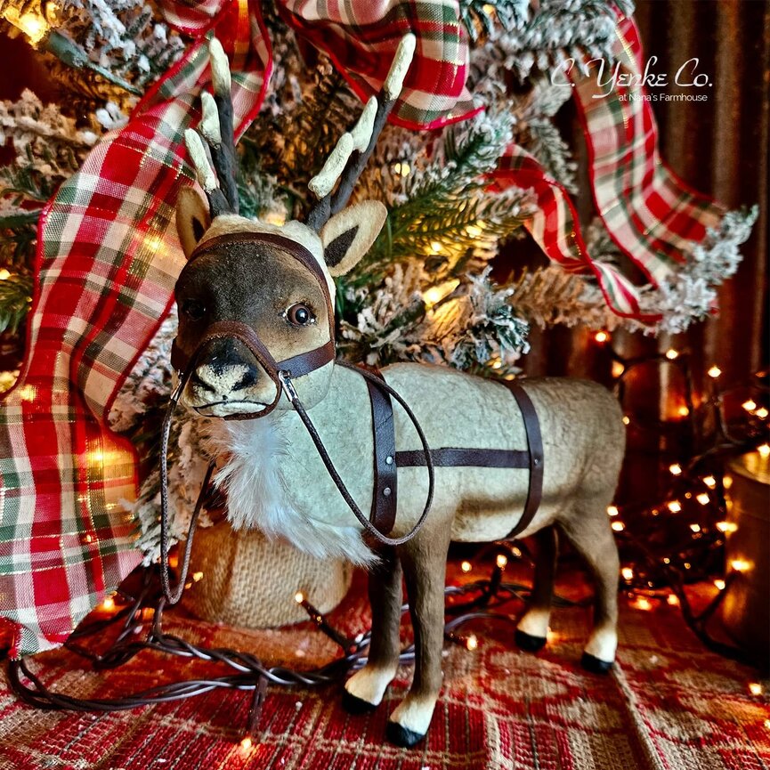 Reindeer Looking to Left