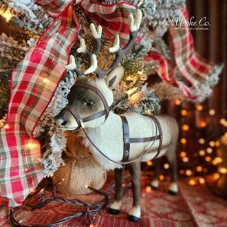 Reindeer with Leather Harness Standing