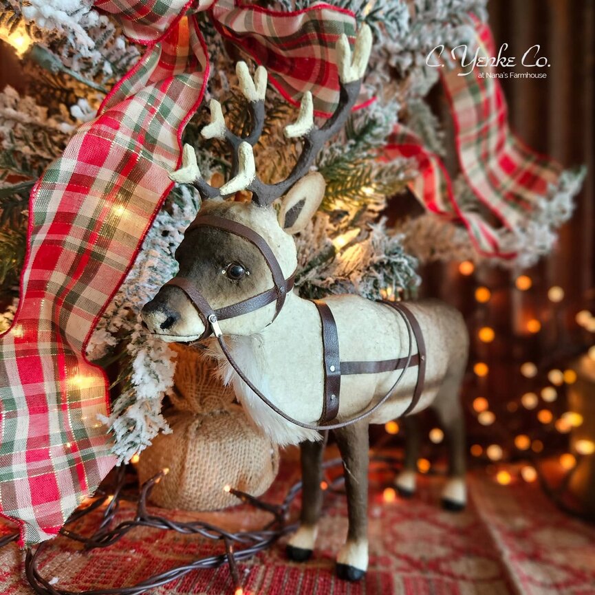 C. Yenke Reindeer with Leather Harness Standing