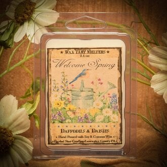Welcome Spring Daffodils & Daises Mini Pack of Tarts